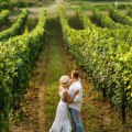 Unforgettable Vineyard Venues for Your Dream NYC Wedding